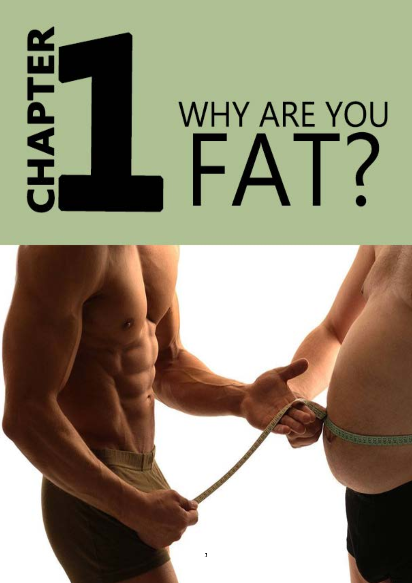 Fat Burn Secrets + FREE Bonus Mini Guide